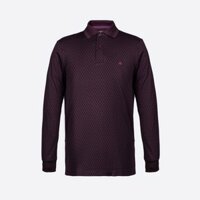 Áo Thun Nam dài tay An Phước - ATHD00565