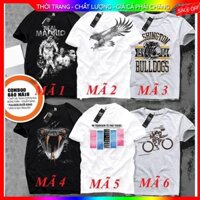 áo thun nam dành cho người béo bụng (Hình Thật Shop Tự Chụp)