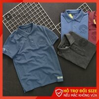 Áo thun nam đẹp có cổ Riooshop logo nổi cao cấp RXP026 siri shop