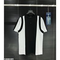 Áo Thun nam Dolce cao cấp 2 màu chất cotton họa tiết phối màu đính logo DG