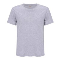 Áo Thun Nam Hàng Hiệu Cao Cấp Xám Dt00290