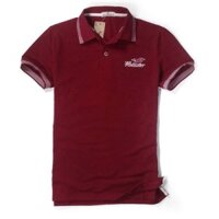 Áo thun nam HOLLISTER mới cực chất