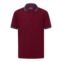 Áo Thun Nam ngắn tay An Phước - ATH000629