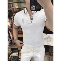 Áo thun nam ngắn tay có cổ polo trắng viền áo đỏ sọc caro