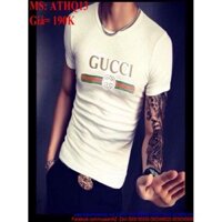 Áo thun nam ôm body ngắn tay cổ tròn sọc GC sành điệu ATHQ13