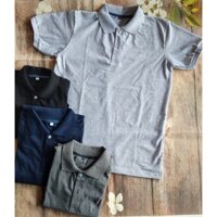 Áo thun nam polo chất cá sấu