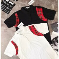 ÁO THUN NAM POLO CỔ TRỤ PHỐI HỌA TIẾT LOGO NHÍ SIÊU ĐẸP KÈM SỌC CỔ CÁ TÍNH BẮT MẮT MẪU MỚI HOT HIỆN NAY