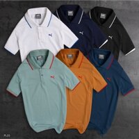 Áo thun nam polo cotton cá sấu PL105 - Thời trang VNXK