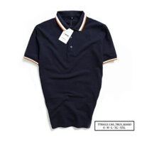 Áo Thun Nam, Polo Nam dệt viền