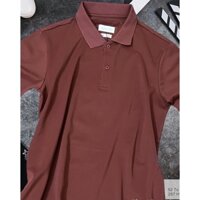 Áo thun nam PoLo