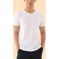 Áo thun nam t-shirts full cotton, trơn, đơn giản, size từ L đến 3XL