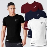 ÁO THUN NAM THỂ THAO , ÔM BODY ,TẬP GYM CHẤT THUN LẠNH | UR SPORT