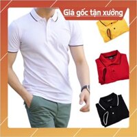 Áo thun nam vải cá sấu có cổ polo