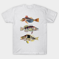 Áo thun Nhạc Cá Hòa Hợp Musical Fish In Harmony TShirt