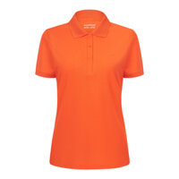 Áo Thun Nữ An Phước - ATHN00643