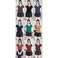 Áo Thun Nữ-áo cổ bẻ Hàng Hiệu Đẹp chất liệu Cotton Cao Cấp co giãn 4 chiều,ko bai,ko xù ASANNA ms:605