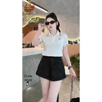 Áo thun nữ, áo cổ bẻ hàng hiệu đẹp chất liệu cotton cao cấp 100% co giãn 4 chiều,ko bai,ko xù LUCY ms 4043