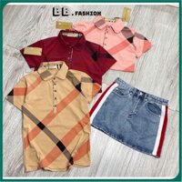 Áo thun nữ áo sọc nữ cổ đức mã T43