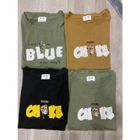 ÁO THUN NỮ CHẤT COTTON CO GIÃN ĐA DẠNG MẪU MÃ HÌNH THÊU (ẢNH CHỤP THẬT)