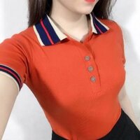 Áo thun nữ .chất cotton xịn _ MT19