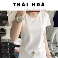 Áo thun Nữ 💥 CHẤT LƯỢNG 💥cổ tim giấy,sược gỗ 42_65kg chất mềm mịn
