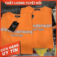 Áo Thun Nữ [CHẤT MÁT, KHÔNG XÙ] Áo Phông Nữ Hàng Quảng Châu Mới Về Siêu Đẹp Siêu Hot