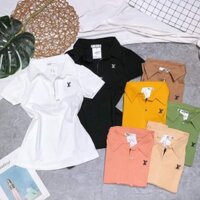 ÁO THUN NỮ CỔ BẺ KHÓA THÊU  ÔM