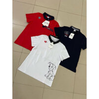 Áo thun nữ cổ bẻ ngắn tay vnxk- cắt từ mẫu dài tay