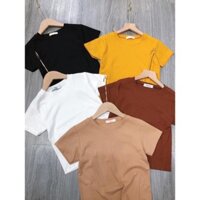 áo thun nữ cộc tay croptop chất zip cotton mềm mại