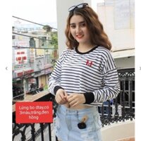 Áo thun nữ croptop tay dài sọc ngang trẻ trung