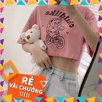 ÁO Thun Nữ Croptop Tay Lỡ Chilblike CRI05| Áo Thun Nữ Kiểu Hàn Quốc Gía Rẻ| Silver Shop