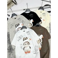 Áo Thun Nữ dáng xinh chất liệu mềm mại, Áo Phông Girl Phố Hot Trend 2024 M16