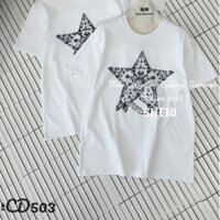 Áo thun nữ DR sao thêu nổi ánh nhũ hàng xuân hè 2025 size SM #CD503