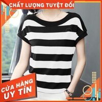 Áo Thun Nữ 💙FREESHIP💙 Áo Phông Nữ Tay Ngắn Chất Đẹp, Thun Cotton, Mịn, Mát, TD01