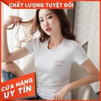 Áo Thun Nữ 💙FREESHIP💙 Áo Phông Nữ Ngắn Tay Cổ Tròn Dáng Ôm Body Dễ Mix Đồ TD25