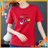 Áo Thun Nữ 💙FREESHIP💙 Áo Phông Nữ In Hoa, Sắc Nét, Màu Đẹp, Chất Vải Cotton Mát Mịn TD12