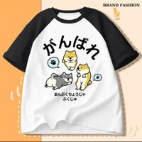 Áo thun Nữ hàng cao cấp cổ tròn tay zaclan phối màu Basic  100% Cotton 2 chiều .chất mềm mịn mát lạnh