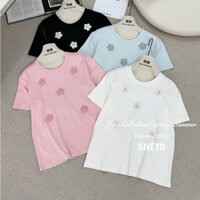 Áo thun nữ hoa thêu nổi freesize # 33828