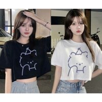 Áo thun nữ lửng croptop cotton chuẩn 100% hàng cao cấp local brand cổ tròn Emilyshop (S)
