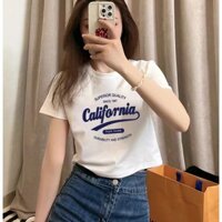 Áo thun nữ lửng croptop cotton chuẩn 100% hàng cao cấp local brand cổ tròn Emilyshop