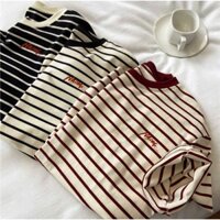 Áo thun nữ ngắn tay kẻ sọc viền cổ phong cách Hàn Quốc, áo thun sọc ngang vải cotton dày 100% cao cấp style Hàn Quốc