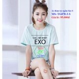 Áo Thun Nữ Tay Ngắn Chữ EXO Cực hot TG078-3-S (XANH NGỌC)