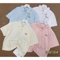 Áo thun nữ tay ngắn cổ bẻ khuy cài hình tim thêu chữ cookie hàng Quảng Châu chất cotton form vừa, áo phông mùa hè 10816