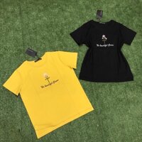 Áo thun nữ thêu hoa