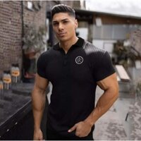 Áo thun polo body ôm dành cho nam Gym
