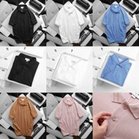 Áo thun polo có cổ đen viền chất cotton gai cá mập áo thun siêu phẩm - POLCS2