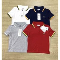 Áo thun Polo Lacoste cho bé trai xịn