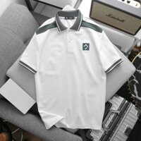 Áo thun Polo Men SD phối viền tay bo thanh lịch thời trang - Cotton Thun cá sấu vảy cá