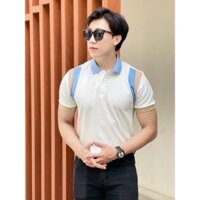 Áo Thun Polo Nam Basic cổ bẻ vải Cá Sấu Cotton cao cấp chuẩn form – Yukino-FashionHouse