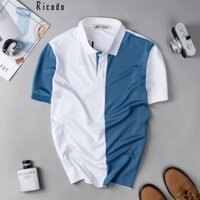 Áo thun polo nam basic RICADO phông unisex có cổ vải cao cấp sang trọng chuẩn form Z01